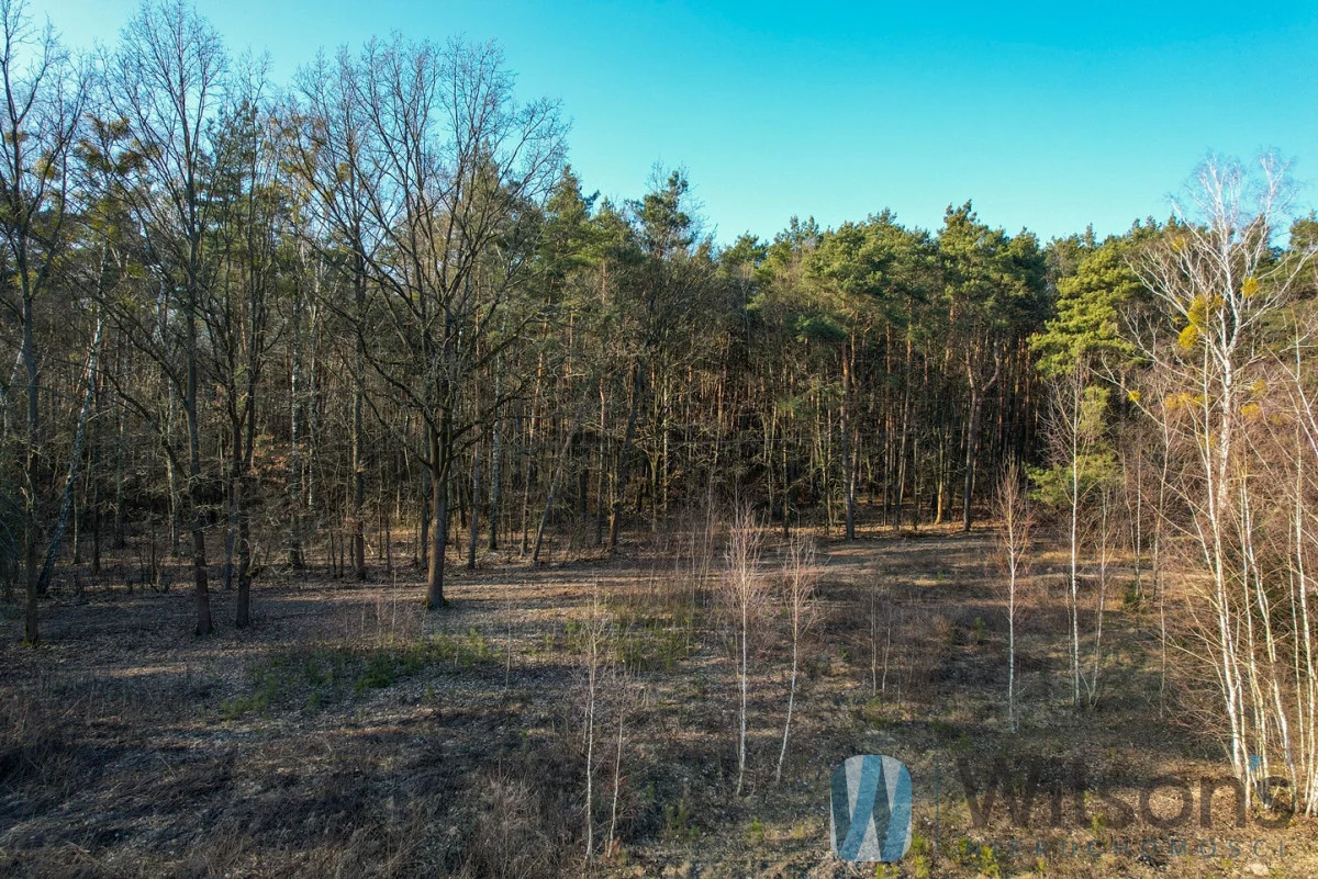Działka 3 726,00 m², oferta nr , WIL122470, Leszno, Polna
