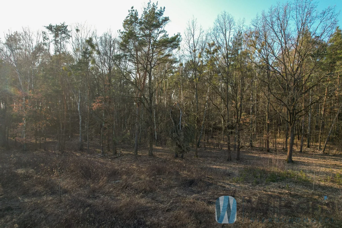 Działka 3 726,00 m², oferta nr , WIL122470, Leszno, Polna