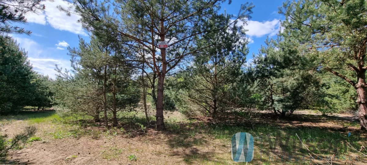 WIL123187 - zdjęcie nr 4
