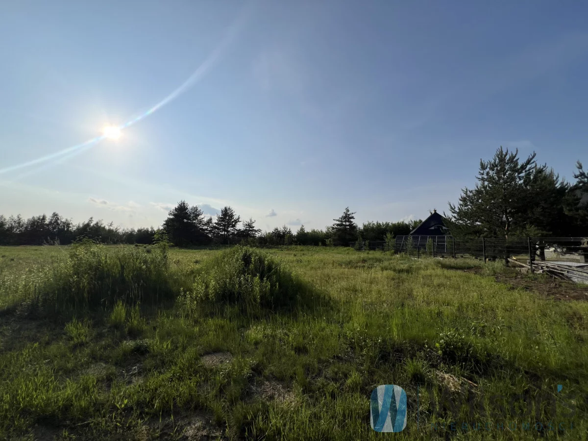 WIL256560 - zdjęcie nr 3