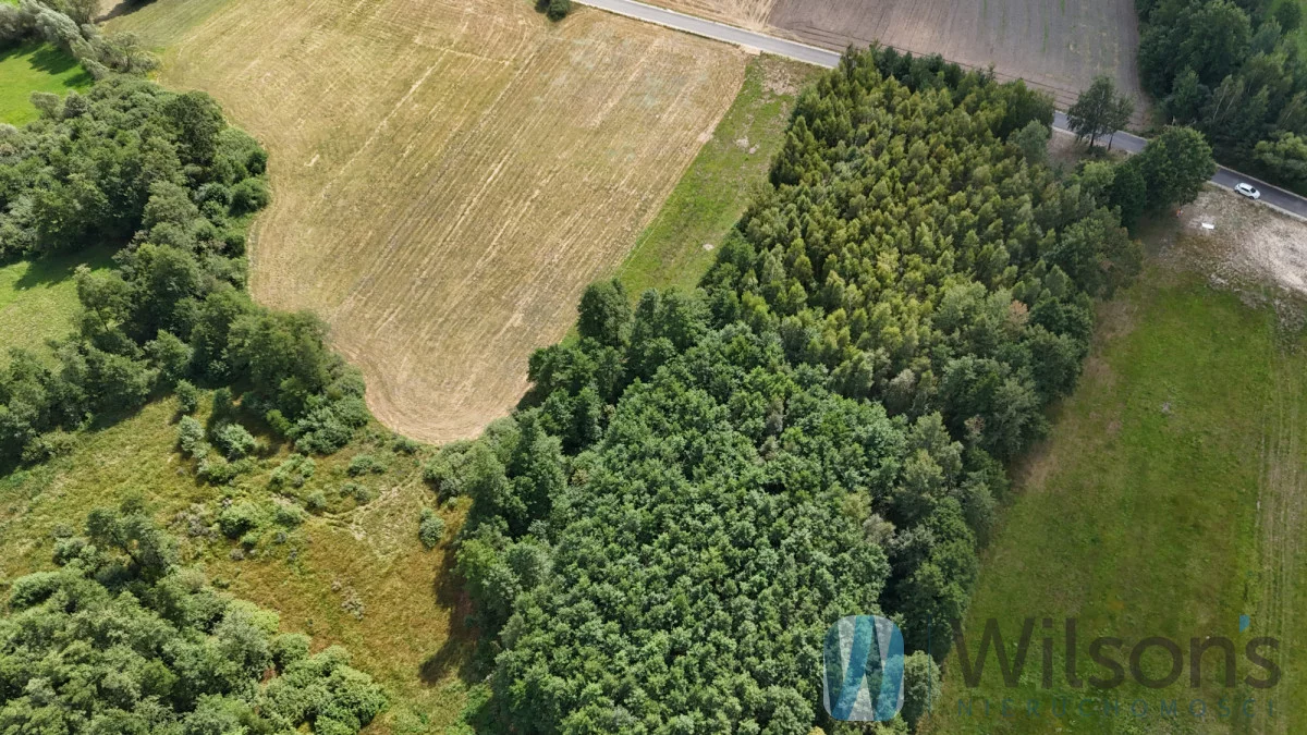 WIL959939 - zdjęcie nr 4