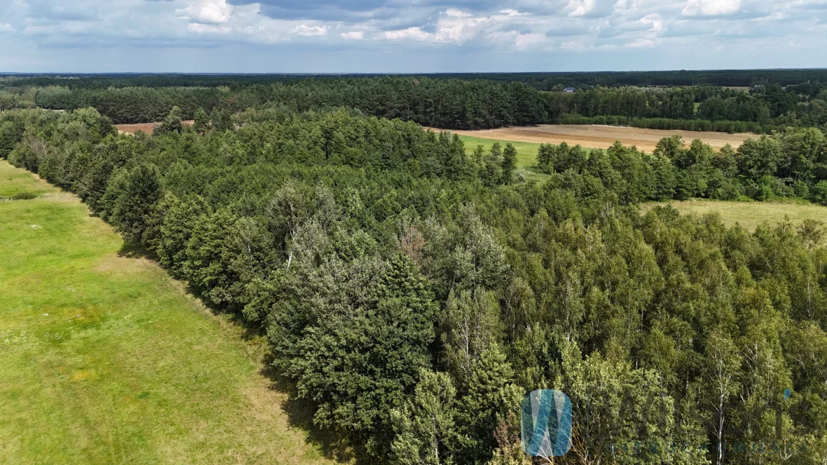Działka 7 100,00 m², oferta nr , WIL959939, Sokołowo Włościańskie