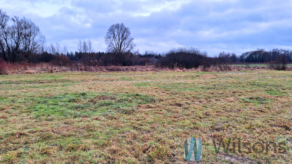 Działka 3 001,00 m², oferta nr , WIL242564, Topórek