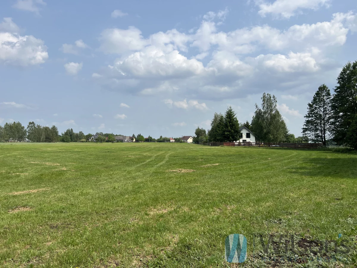 WIL375107 - zdjęcie nr 4