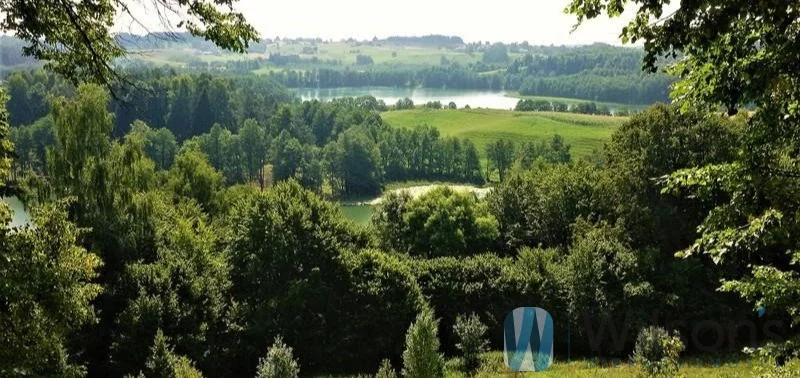 Działka 50 600,00 m², oferta nr , WIL972988, Udziejek