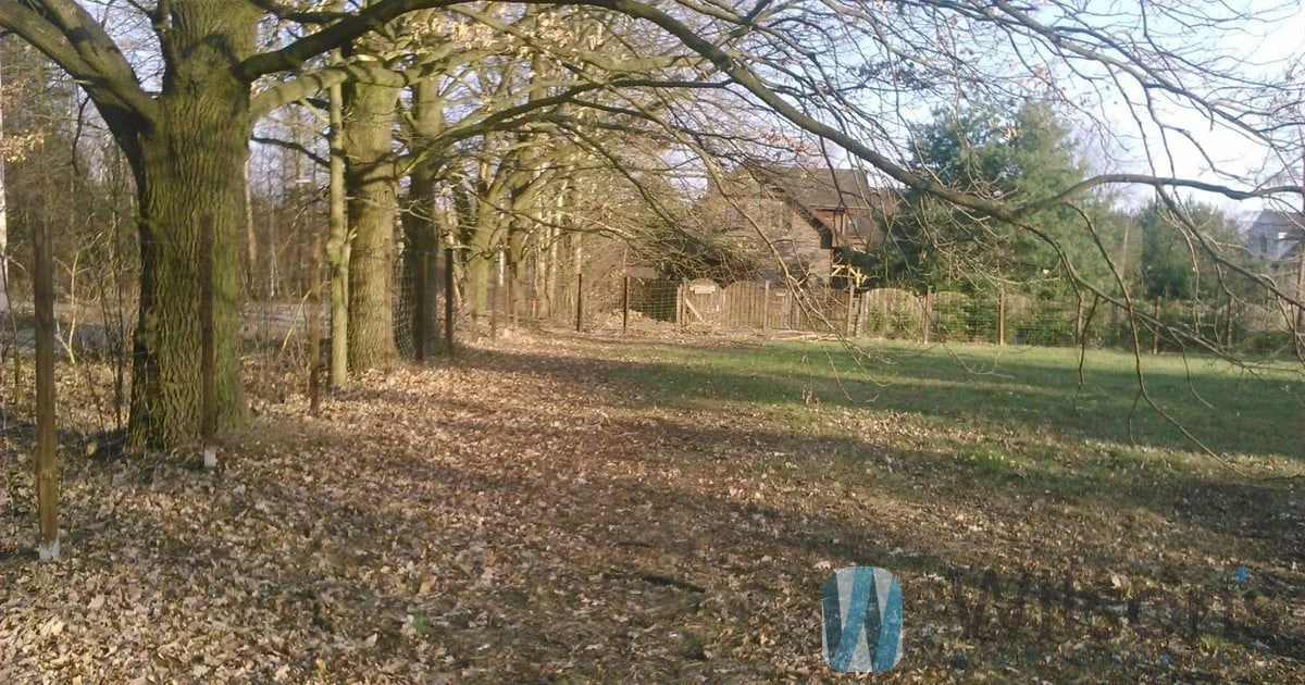 WIL539725 - zdjęcie nr 3