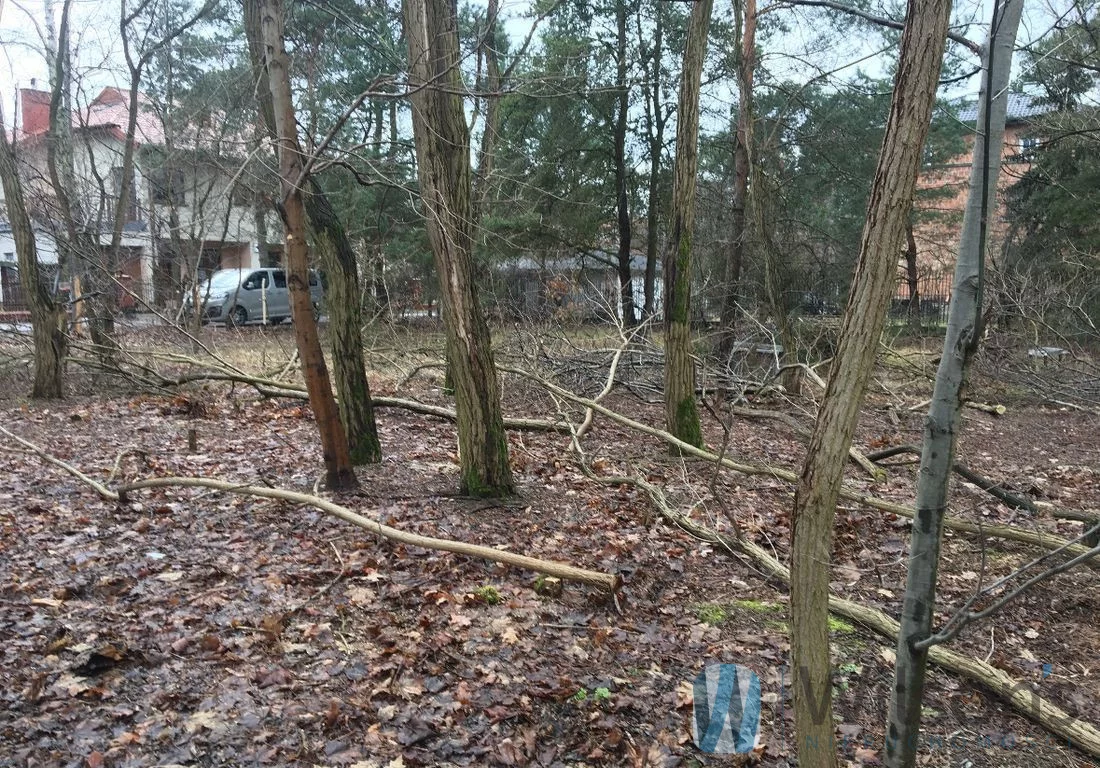 WIL745204 - zdjęcie nr 1