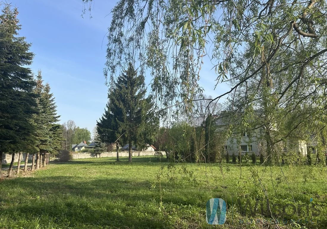 WIL903269 - zdjęcie nr 2
