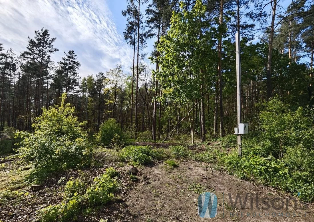 WIL129575 - zdjęcie nr 2
