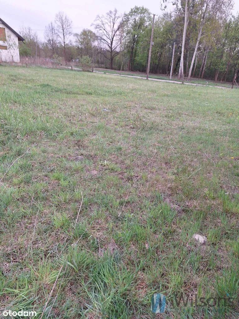 WIL404151 - zdjęcie nr 4