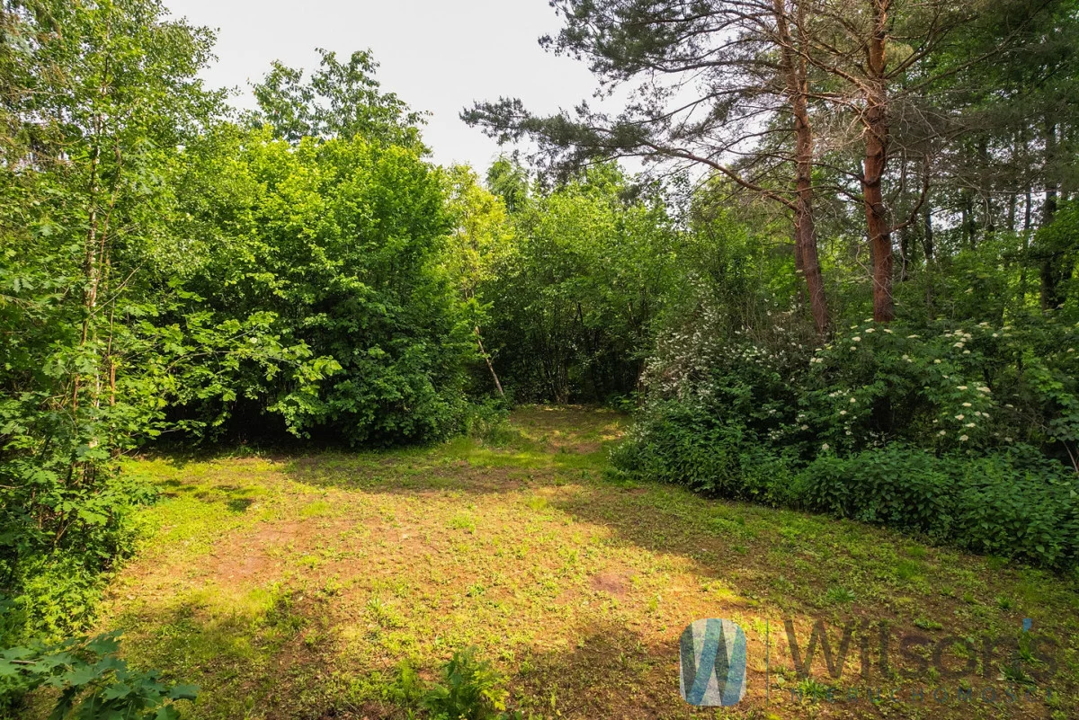 WIL553779 - zdjęcie nr 0