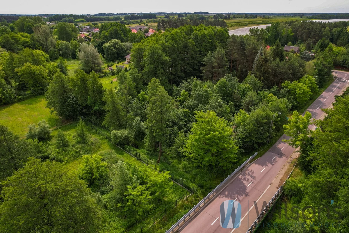 WIL553779 - zdjęcie nr 4