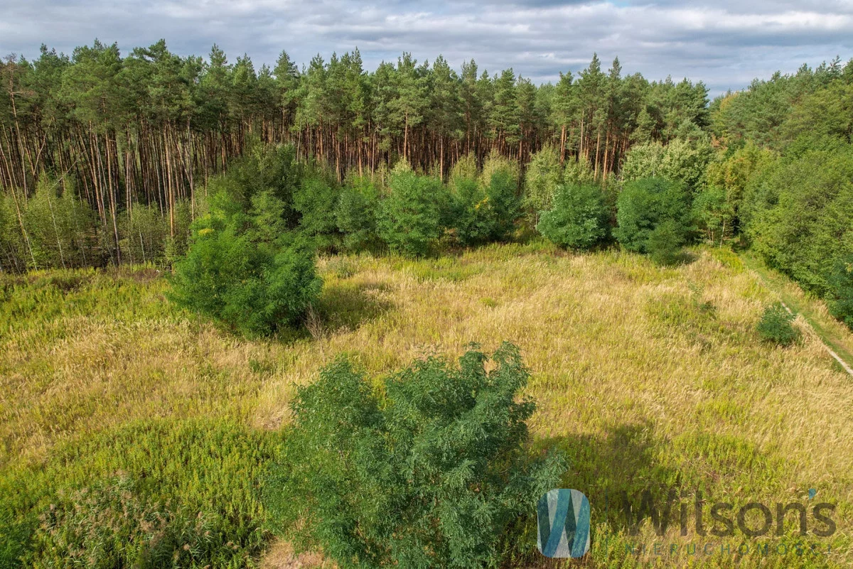 Działka 21 132,00 m², oferta nr , WIL251293, Nadma, Wrzosowa