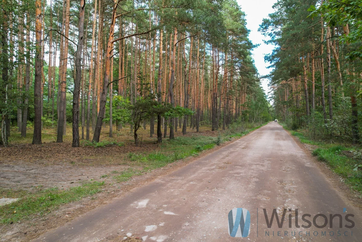 Działka 21 132,00 m², oferta nr , WIL251293, Nadma, Wrzosowa