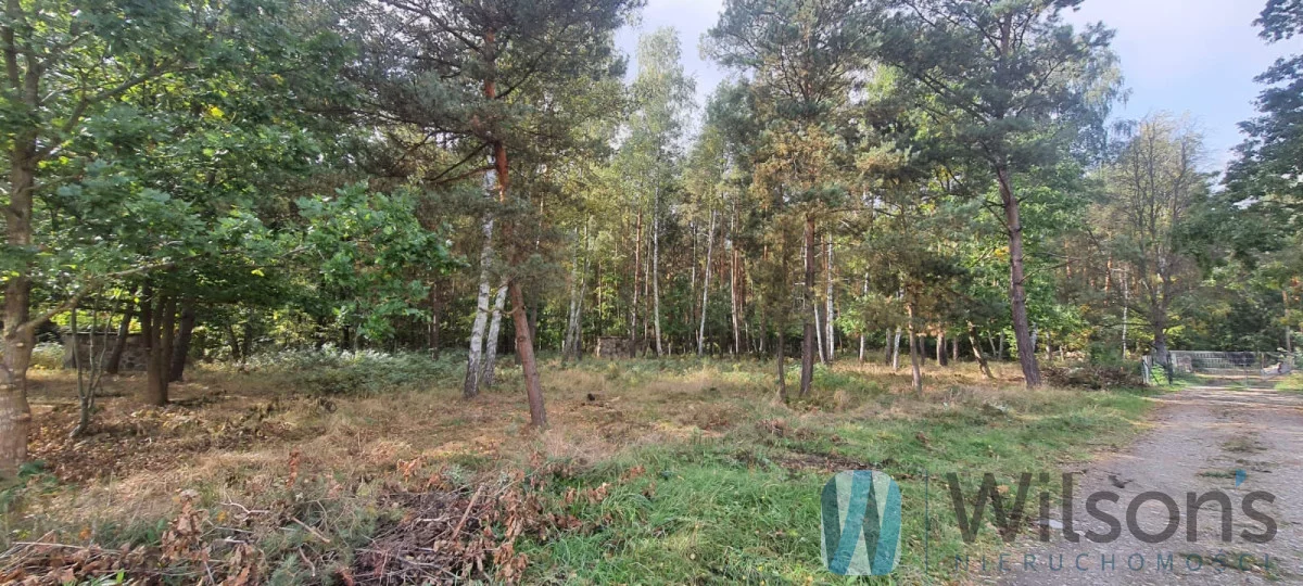 Działka 1 216,00 m², oferta nr , WIL567061, Żabia Wola