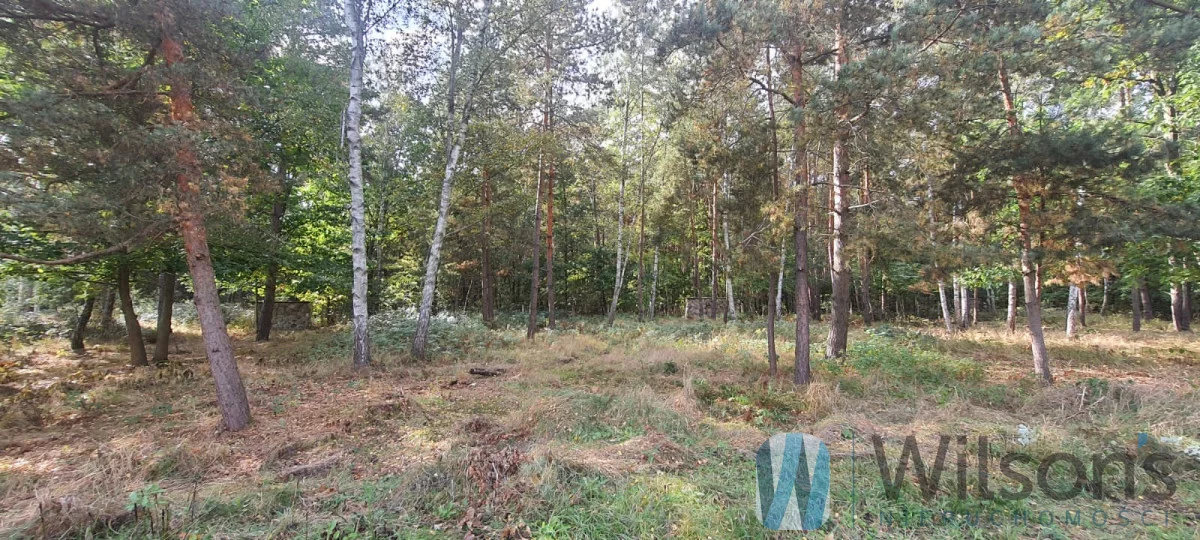 Działka 1 216,00 m², oferta nr , WIL567061, Żabia Wola