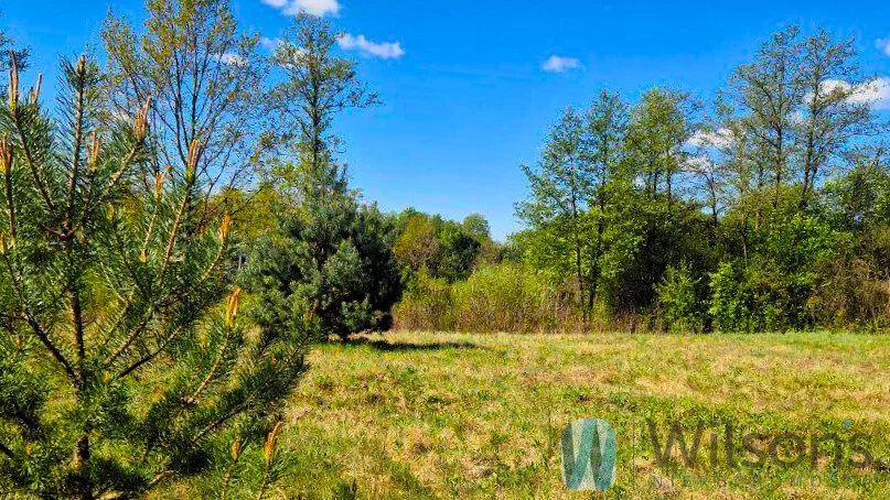 Apartamenty WIL953144 Zambski Kościelne