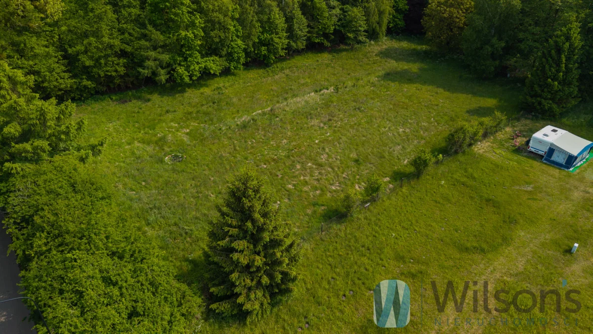 WIL241889 - zdjęcie nr 3