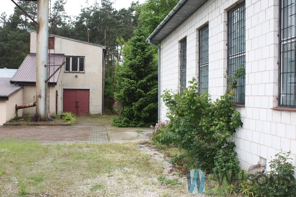 Lokal użytkowy 690,00 m², oferta nr , WIL202642741, Dobrut