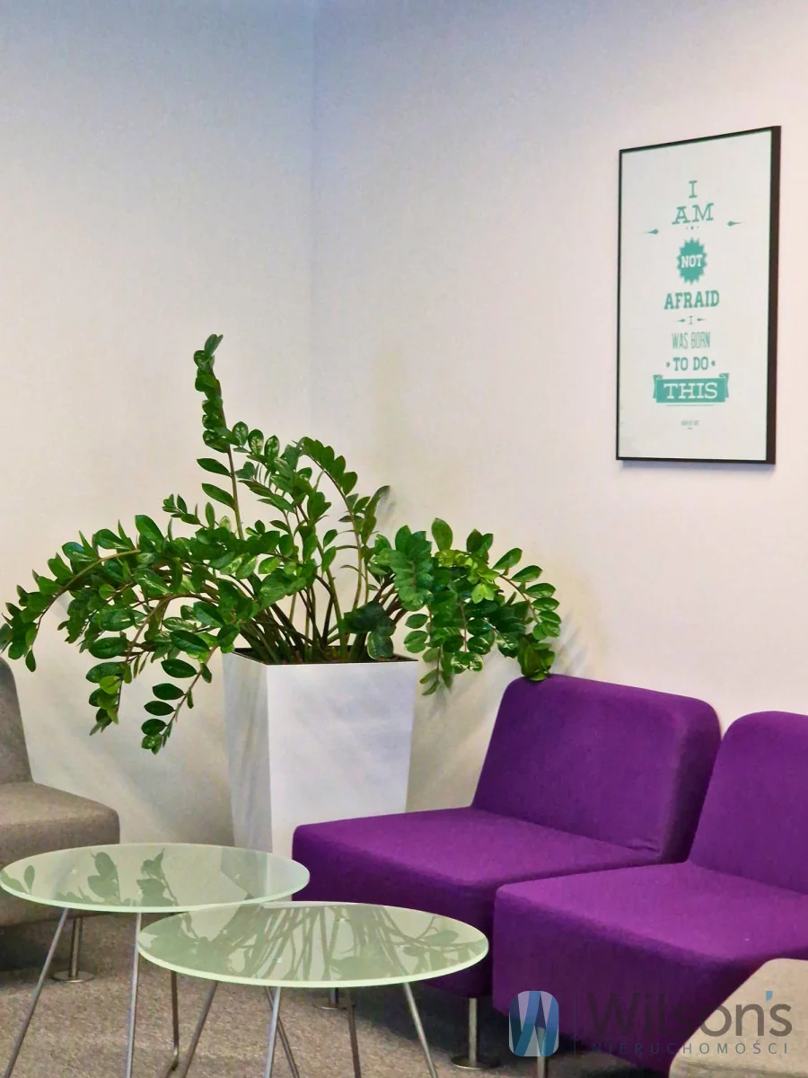 Biuro 30,00 m², oferta nr , WIL402625, Warszawa, Wola, Wola, Grzybowska