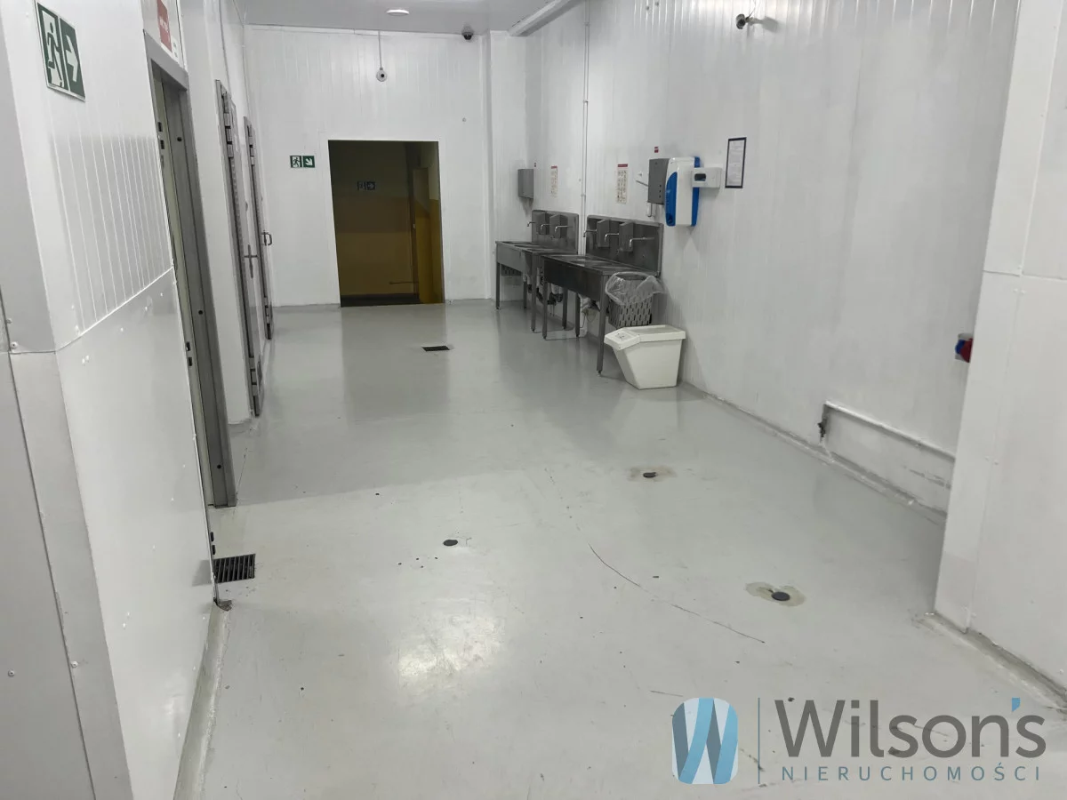 Obiekt 3 000,00 m², oferta nr , WIL275100, Nowe Lipiny, Szosa Jadowska