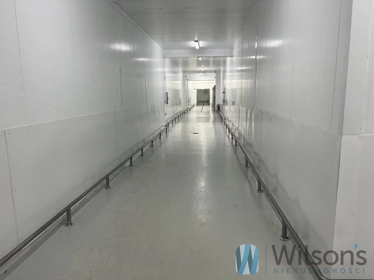 Obiekt 3 000,00 m², oferta nr , WIL275100, Nowe Lipiny, Szosa Jadowska