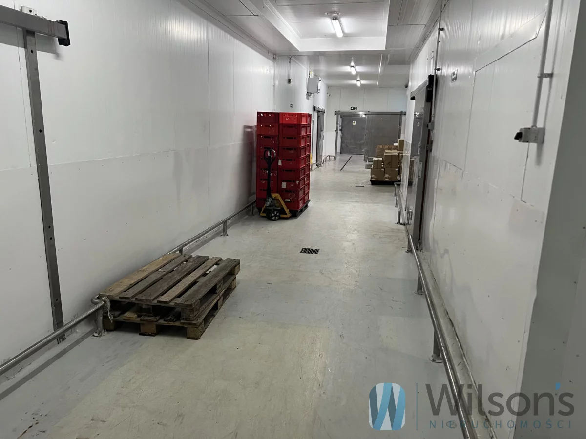 Obiekt 3 000,00 m², oferta nr , WIL275100, Nowe Lipiny, Szosa Jadowska