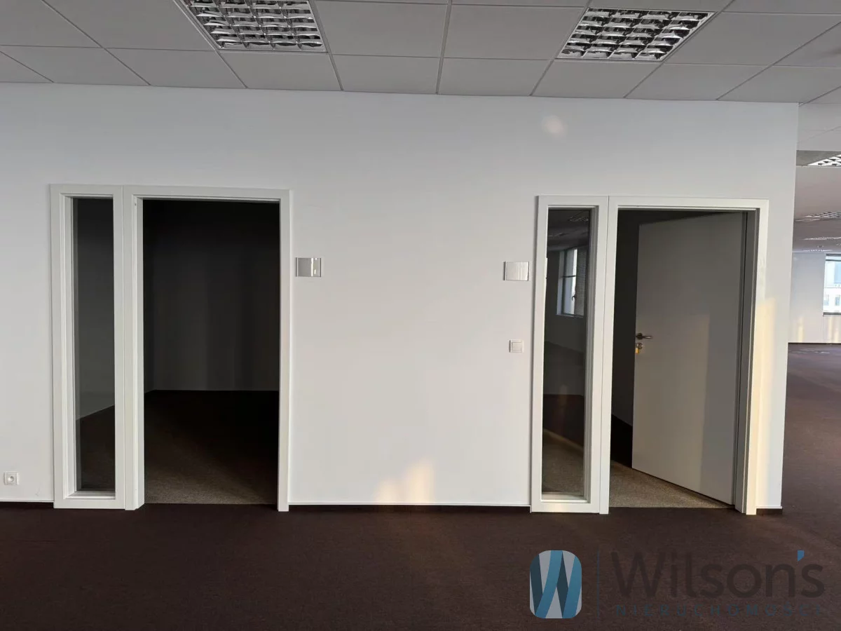WIL404602 - zdjęcie nr 3