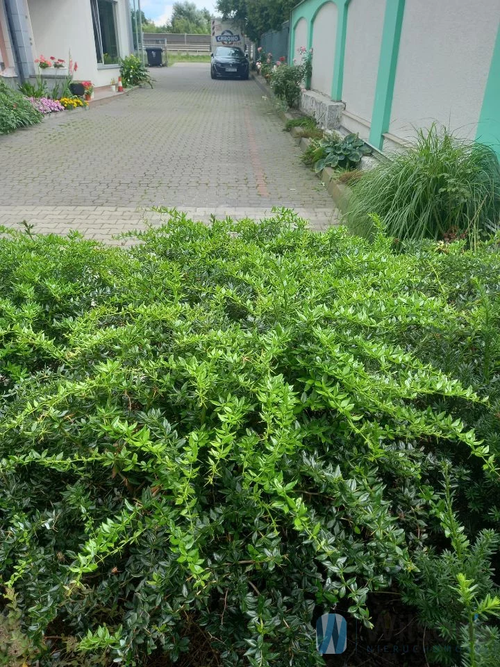 Magazyn 330,00 m², oferta nr , WIL423167, Sękocin Stary, Al. Krakowska