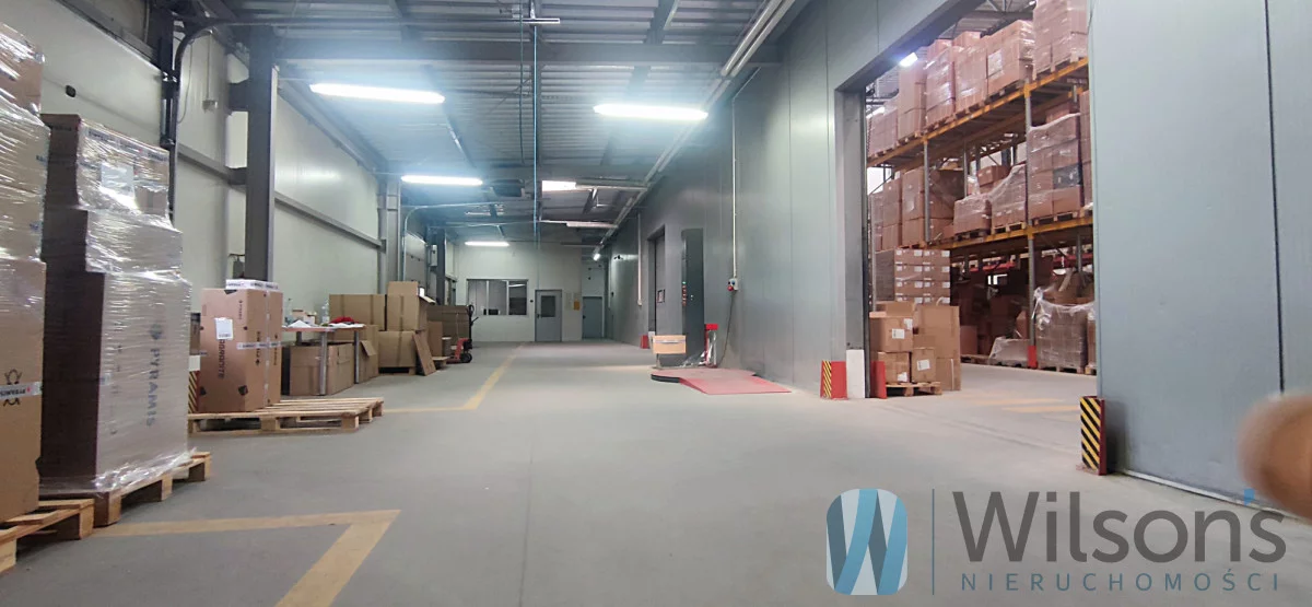 Magazyn 3 041,00 m², oferta nr , WIL342794, Czosnów