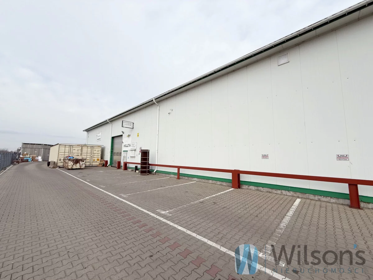 WIL123571 - zdjęcie nr 2