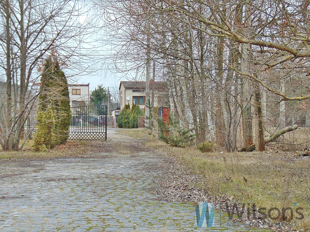 WIL737165 - zdjęcie nr 4