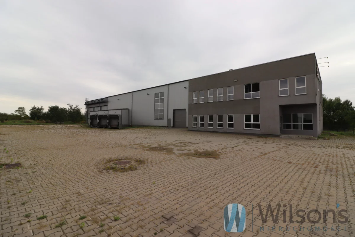 Magazyn 2 830,00 m², Oczesały, Wynajem