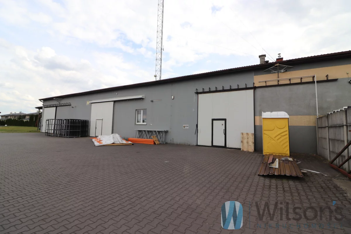 WIL810774 - zdjęcie nr 1