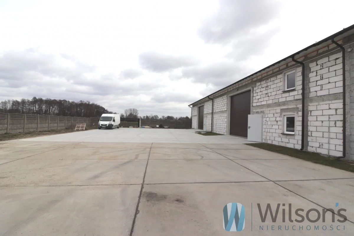 WIL240645 - zdjęcie nr 4