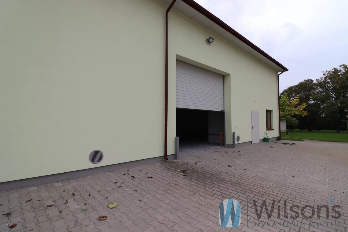 WIL329154 - zdjęcie nr 0