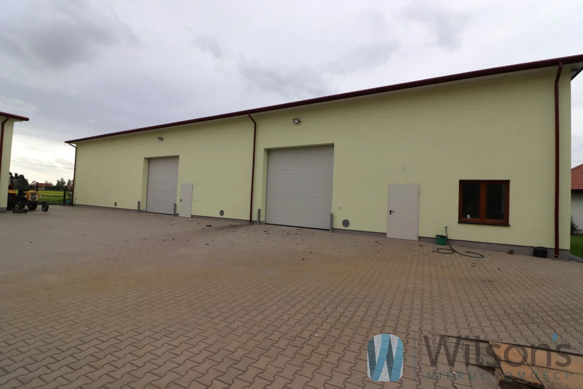 WIL329154 - zdjęcie nr 1