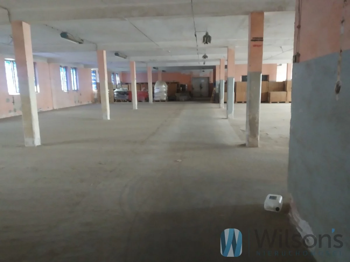 WIL263045 - zdjęcie nr 1