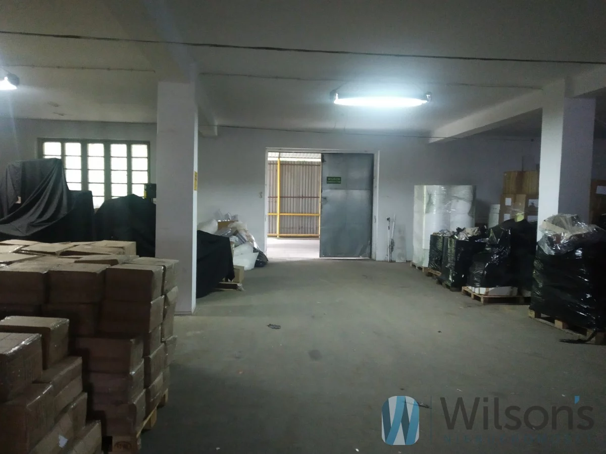 WIL263045 - zdjęcie nr 4