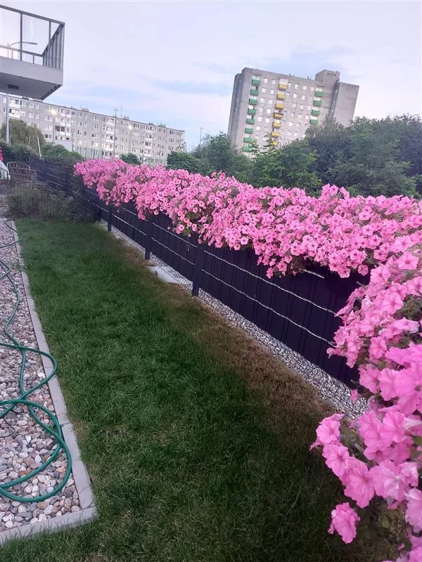3 pokoje, mieszkanie 60,68 m², parter, oferta nr , IF04342, Gdańsk, Skiby