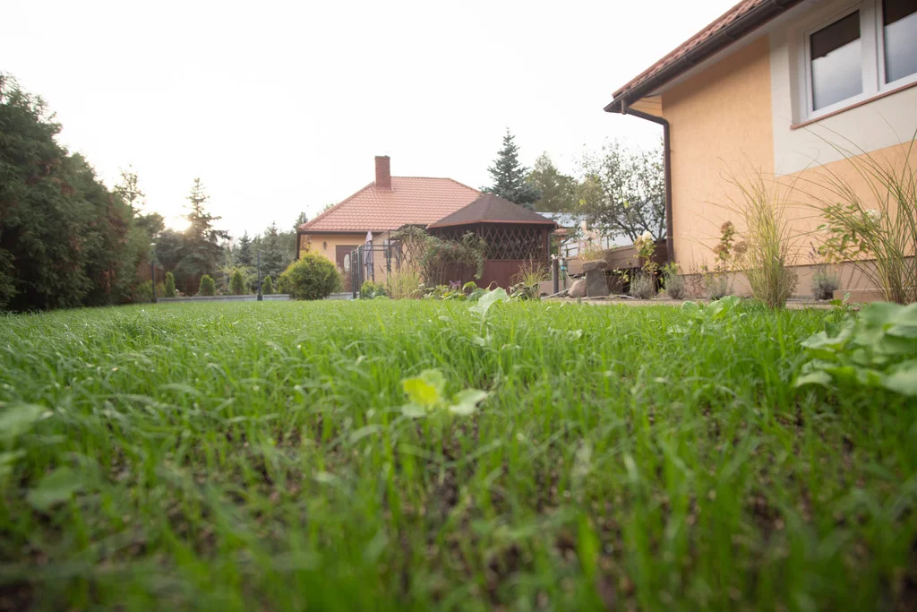 Dom i rezydencja 89,00 m², oferta nr , 150/8652/ODS, Sochonie