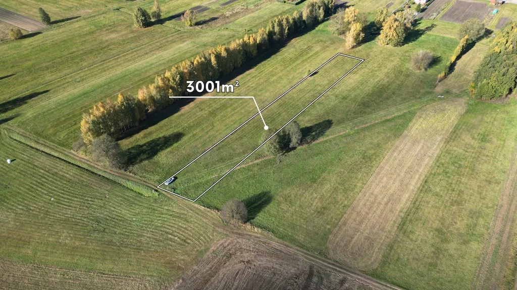 Działka 3 001,00 m², oferta nr , 238/8652/OGS, Gniła