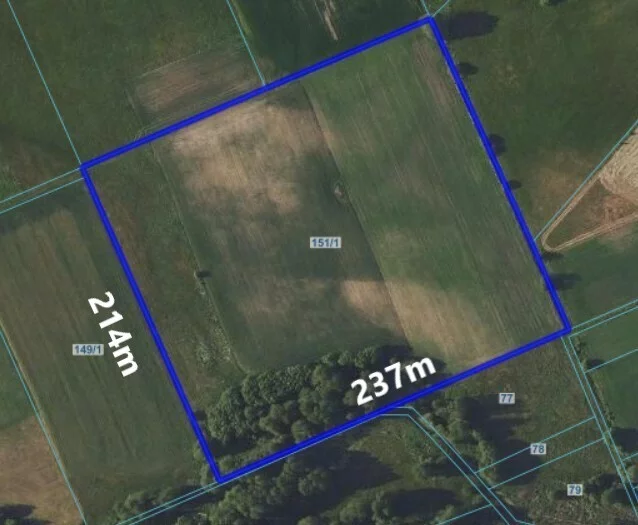 Apartamenty 215/8652/OGS Łozowo