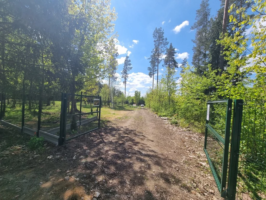 Działka 1 000,00 m², oferta nr , 206/8652/OGS, Olmonty