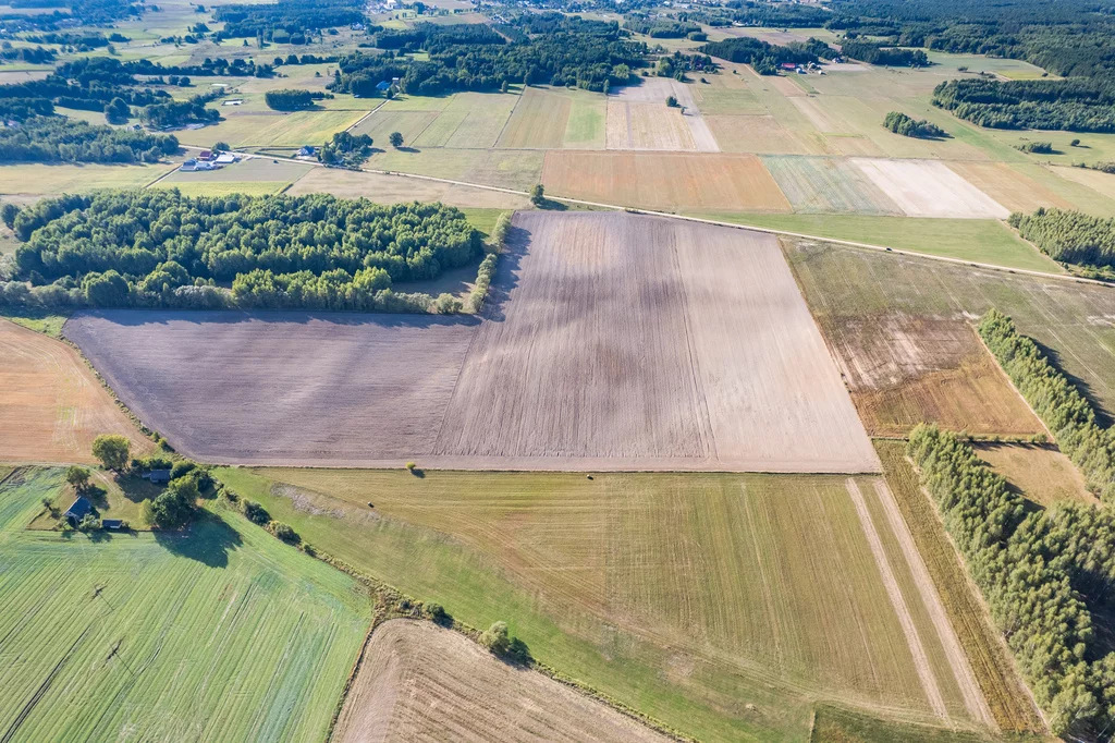 Działka 1 265,00 m², oferta nr , 201/8652/OGS, Rafałówka