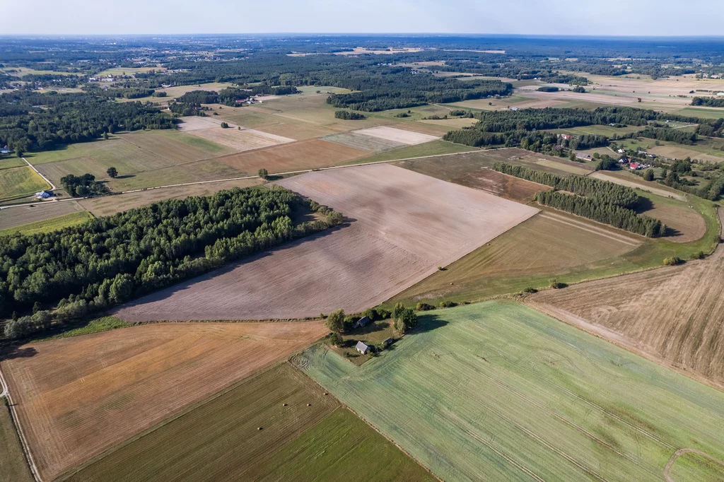 Działka 1 265,00 m², oferta nr , 201/8652/OGS, Rafałówka