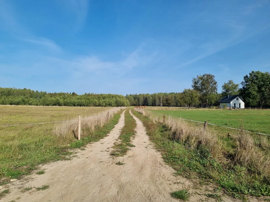Działka 893,00 m², oferta nr , 154/8652/OGS, Zwierki
