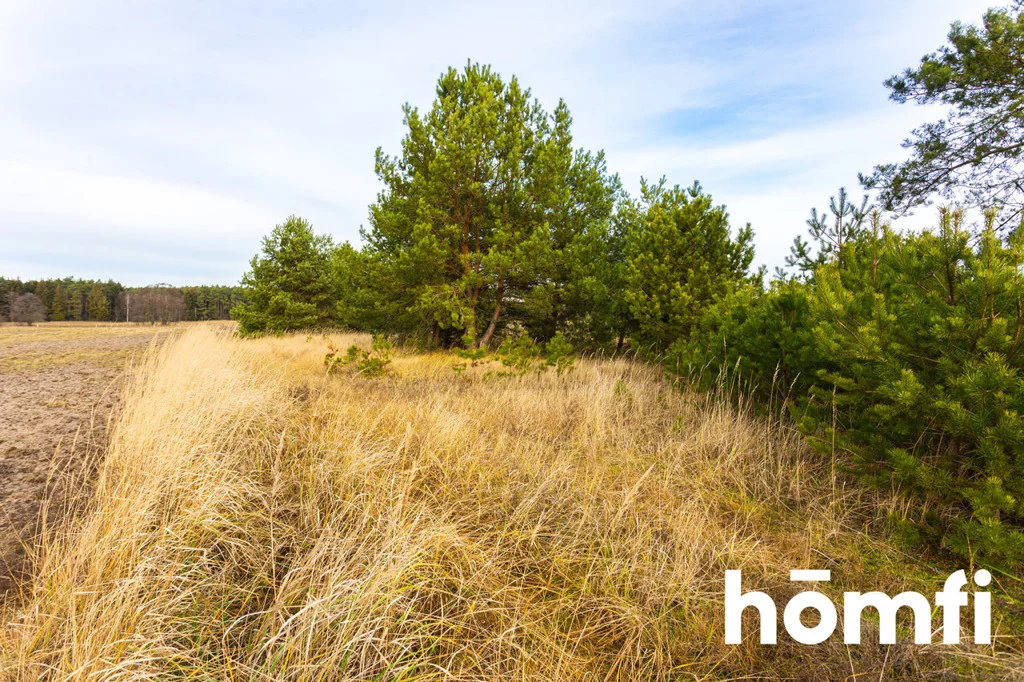 Działka 7 072,00 m², oferta nr , 2390/2089/OGS, Anastazewo