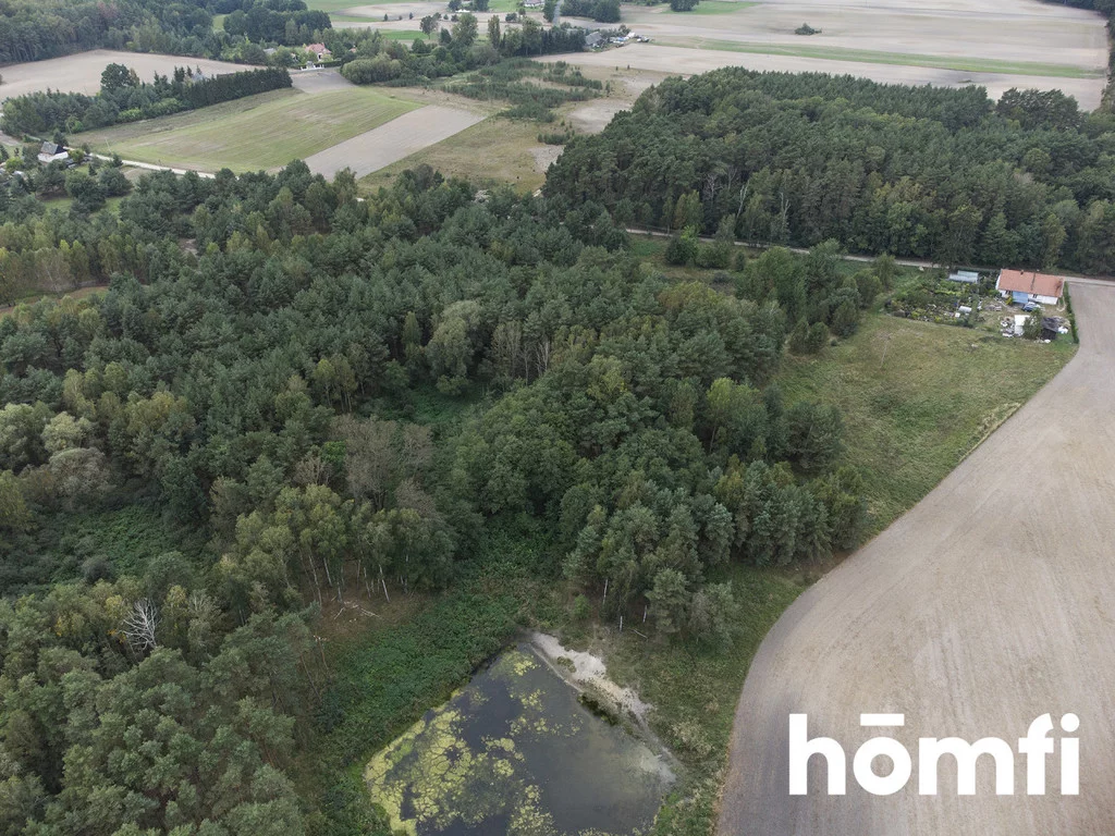 Działka 21 677,00 m², oferta nr , 1878/2089/OGS, Budziszewice