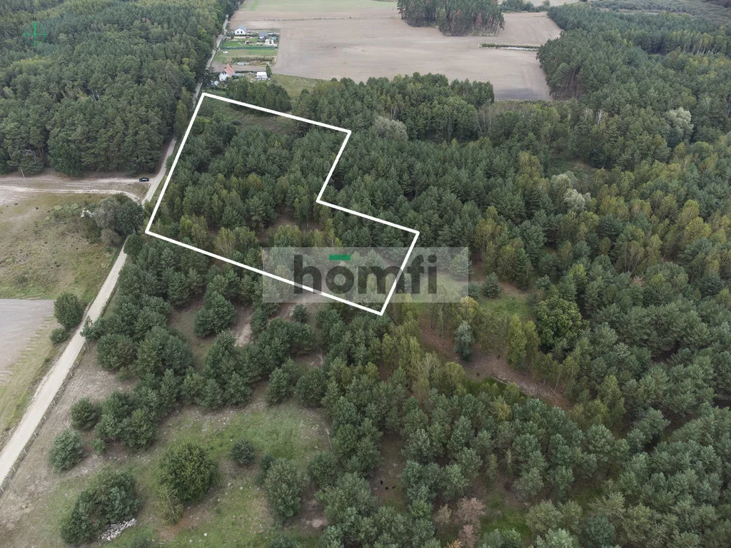 Działka 21 677,00 m², oferta nr , 1878/2089/OGS, Budziszewice